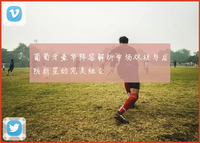 葡萄牙豪华阵容解析中场双核与后防新星的完美组合