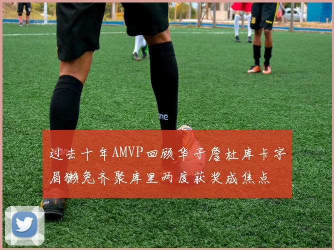 过去十年AMVP回顾华子詹杜库卡字眉獭兔齐聚库里两度获奖成焦点